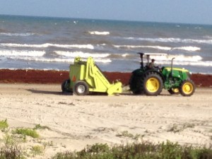 Beach cleaning machine removes seaweed from Galveston west end beach.